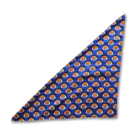 luxury silk scarf | eye logo 2